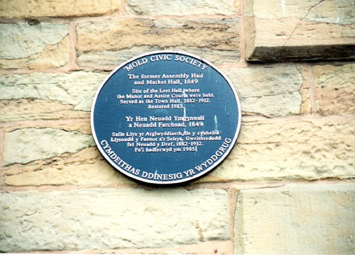 Blue Plaque in Mold