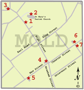 Mold Map 3
